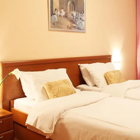 雷克斯酒店 酒店 3*