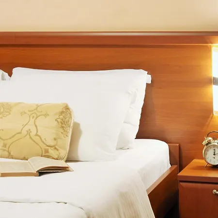 酒店 雷克斯酒店 3*