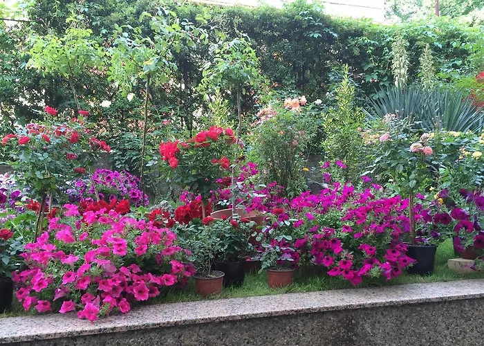 فندق ريكس 3*